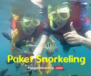 paket snorkeling banana boat pangandaran