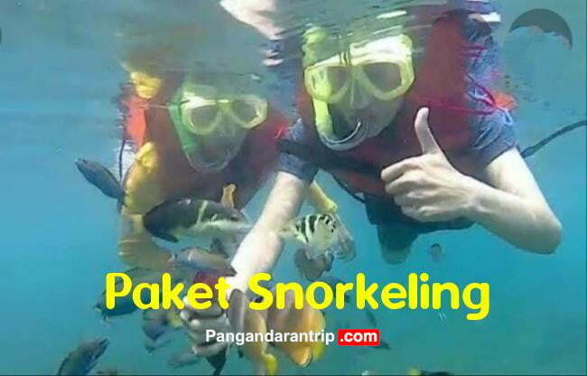 paket snorkeling banana boat pangandaran