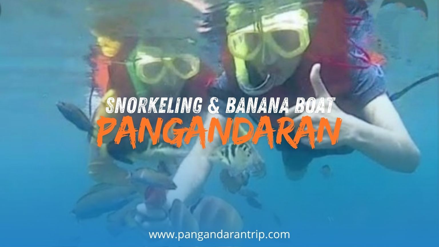 Snorkeling & Banana Boat Pangandaran