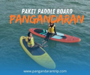 PAKET PADDLE BOARD PANGANDARAN PAKET PADDLE BOARD PANGANDARAN